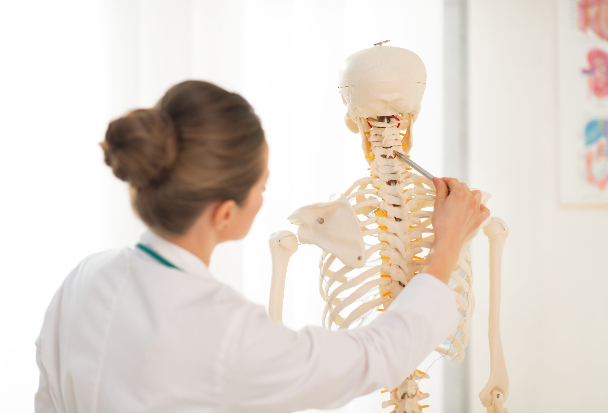Medical doctor woman teaching anatomy. rear view